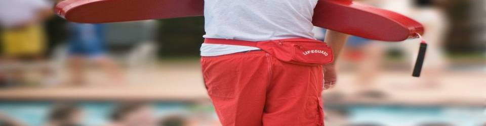 Curso Direccion Operativa de Equipos de Socorrismo Acuatico (A Distancia)