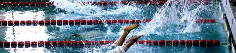 Curso Sesiones de Entrenamiento en Actividades de Natacion (A Distancia)