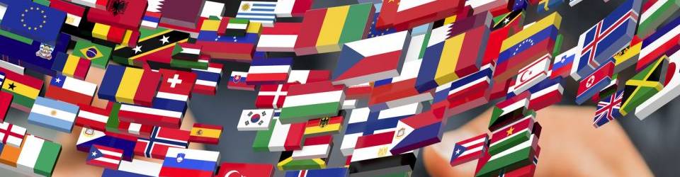 Curso Analisis de Riesgos y Medios de Cobertura en las Operaciones de Comercio Internacional (A Distancia)