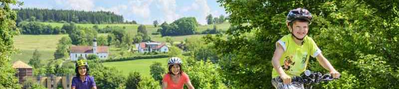Curso a distancia Uf1940 Dirigir Y Conducir Veladas Y Espectaculos Con Fines De Animacion A Distancia