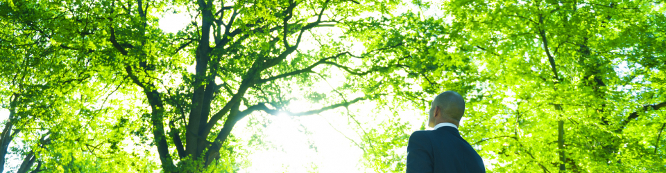 Curso Online Puesta en Marcha de Sistema de Gestion Ambiental (SGA)