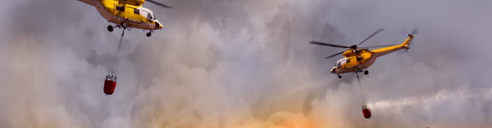 Curso Online Operaciones Basicas de Vigilancia y Deteccion de Incendios Forestales. Revision y Mantenimiento de Infraestructuras de Prevencion e Instalaciones de Extincion y Divulgacion a la Poblacion de Medidas Preventivas