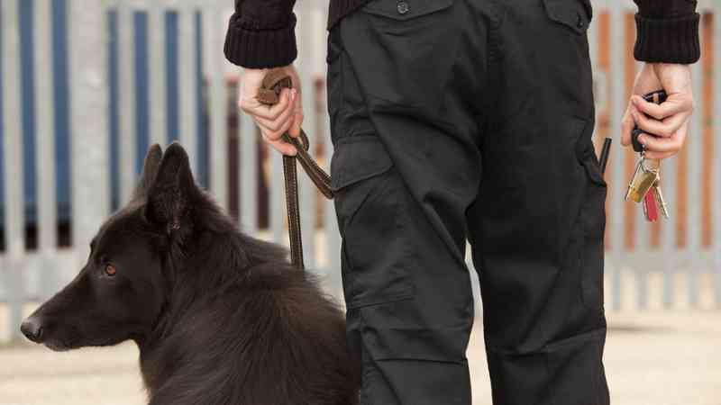 Curso a distancia Uf2721 Lectura Y Escritura De Protocolos En Ingles De Apoyo A La Atencion Telefonica En Un Servicio De Emergencias112 A Distancia