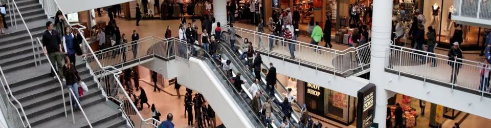 Postgrado de Vigilante de Seguridad en Centros Comerciales+ Titulacion Universitaria