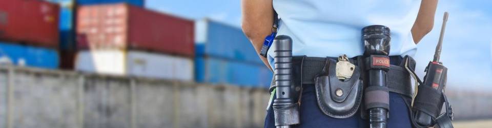 Postgrado de Vigilante de Seguridad en Urbanizaciones, Poligonos, Transportes y Espacios Publicos + Titulacion Universitaria