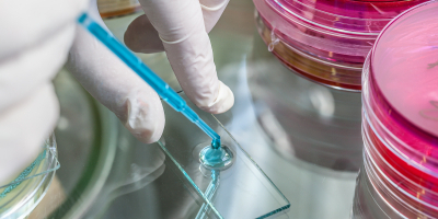 Curso de Biología del Comportamiento Curso de Biología del Comportamiento