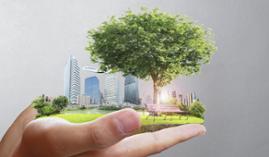 Calificación Energética de los Edificios Calificación Energética de los Edificios