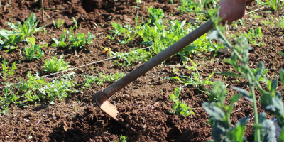 Especialista en Agroecologia Especialista en Agroecologia