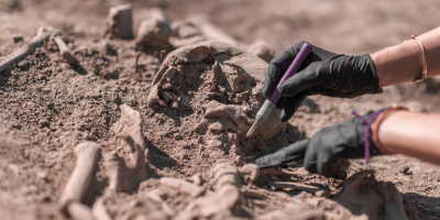 Especialista en Arqueologia Especialista en Arqueologia