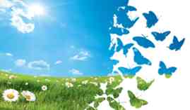 Curso Universitario de Bases de las Evaluaciones de Impacto Ambiental (Curso Homologado con Titulacion Universitaria + 2 ECTS) Curso Universitario de Bases de las Evaluaciones de Impacto Ambiental (Curso Homologado con Titulacion Universitaria + 2 ECTS)