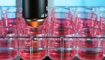 Especialista en Biología Molecular y Citogenética Especialista en Biología Molecular y Citogenética
