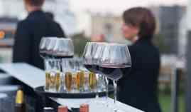 Experto en Cata de Vinos Experto en Cata de Vinos