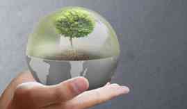 Curso Online de la Ecoescuela: Escuela Sostenible Curso Online de la Ecoescuela: Escuela Sostenible