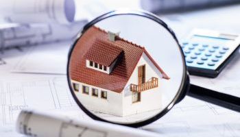 Especialista en Estrategias en el Mundo Inmobiliario Especialista en Estrategias en el Mundo Inmobiliario
