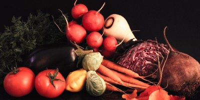 Curso de Estudio de los Alimentos Curso de Estudio de los Alimentos