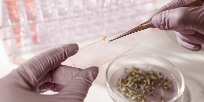 Especialista en Fisiopatología Humana: Fundamentos Genéticos, Bioquímicos e Inmunológicos Especialista en Fisiopatología Humana: Fundamentos Genéticos, Bioquímicos e Inmunológicos
