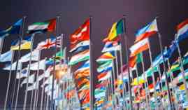 Especialista en Impuestos en el Comercio Internacional Especialista en Impuestos en el Comercio Internacional