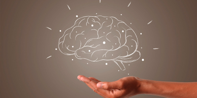 Especialista en Inteligencia Emocional, Desarrollo Personal y de las Capacidades Especialista en Inteligencia Emocional, Desarrollo Personal y de las Capacidades