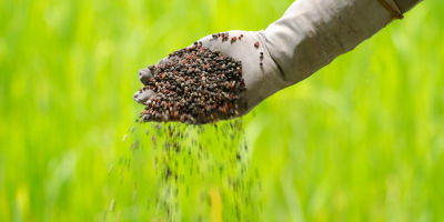 Curso en Manejo Sanitario del Agrosistema Curso en Manejo Sanitario del Agrosistema