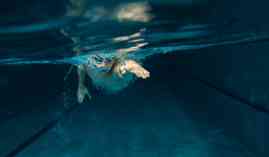 Especialista en Natacion. Bases Metodologicas del Entrenamiento Especialista en Natacion. Bases Metodologicas del Entrenamiento