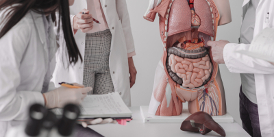 Especialista en Neuroanatomia y Neurologia Funcional Especialista en Neuroanatomia y Neurologia Funcional