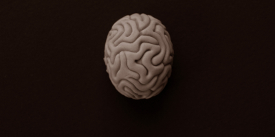 Curso Superior Universitario Neuropsicologia Clinica (HOMOLOGADO + 12 CREDITOS ECTS) Curso Superior Universitario Neuropsicologia Clinica (HOMOLOGADO + 12 CREDITOS ECTS)