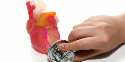 Especialista en Nutrición en las Enfermedades Cardiovasculares Especialista en Nutrición en las Enfermedades Cardiovasculares
