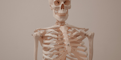 Postgrado en Osteopatia Clinica Integrada Postgrado en Osteopatia Clinica Integrada