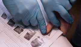 Tecnico Profesional de Criminologia (Titulacion Profesional) Tecnico Profesional de Criminologia (Titulacion Profesional)