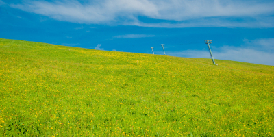 Postgrado en Sensibilización y Educación Medio Ambiental (Doble Titulación Nebrija & Educa + 1 Crédito ECTS) Postgrado en Sensibilización y Educación Medio Ambiental (Doble Titulación Nebrija & Educa + 1 Crédito ECTS)