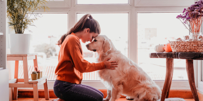 Curso de Terapia Asistida con Animales (Titulación Universitaria + 8 Créditos ECTS) Curso de Terapia Asistida con Animales (Titulación Universitaria + 8 Créditos ECTS)