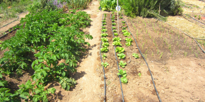 Curso de Tratamiento Sostenible de Residuos Agrarios Curso de Tratamiento Sostenible de Residuos Agrarios
