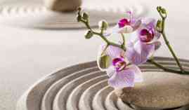 Certificacion en Aromaterapia y Flores de Bach (Curso Aromaterapia + Curso Flores de Bach HOMOLOGADO) Certificacion en Aromaterapia y Flores de Bach (Curso Aromaterapia + Curso Flores de Bach HOMOLOGADO)