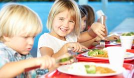 Dietética y Nutrición (Curso Universitario de Especialización + 8 Créditos ECTS) Dietética y Nutrición (Curso Universitario de Especialización + 8 Créditos ECTS)