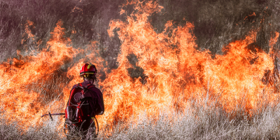 Especialista en Defensa contra Incendios Forestales Especialista en Defensa contra Incendios Forestales