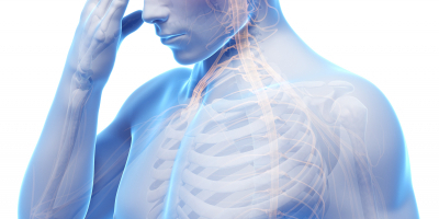 Experto en Anatomía del Ejercicio y Movimiento Experto en Anatomía del Ejercicio y Movimiento