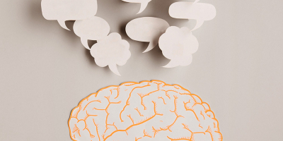 Especialista en Anatomía, Fisiología y Neurología del Habla y del Lenguaje Especialista en Anatomía, Fisiología y Neurología del Habla y del Lenguaje