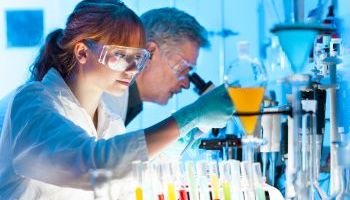 Experto en Hematologia Experto en Hematologia