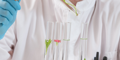 Experto Nutricionista de las Plantas: Ensenanza y Aprendizaje Experto Nutricionista de las Plantas: Ensenanza y Aprendizaje