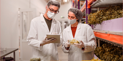 Master en Calidad y Seguridad Alimentaria + 8 Créditos ECTS Master en Calidad y Seguridad Alimentaria + 8 Créditos ECTS