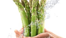 Master en Dietética y Nutrición + 60 Créditos ECTS Master en Dietética y Nutrición + 60 Créditos ECTS