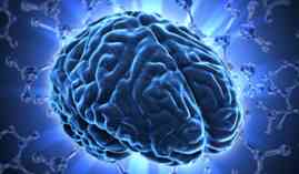 Master en Neurociencia y Dolor Master en Neurociencia y Dolor