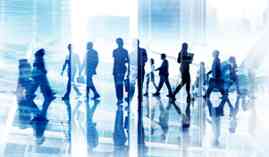 Master en Docencia de la Formacion Profesional para el Empleo + Titulacion Universitaria en Orientacion Laboral y Promocion de la Calidad en la Formacion Profesional para el Empleo Master en Docencia de la Formacion Profesional para el Empleo + Titulacion Universitaria en Orientacion Laboral y Promocion de la Calidad en la Formacion Profesional para el Empleo
