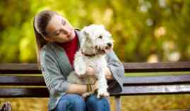 Master en Homeopatia, Fisioterapia y Nutricion Veterinaria + Titulacion Universitaria Master en Homeopatia, Fisioterapia y Nutricion Veterinaria + Titulacion Universitaria