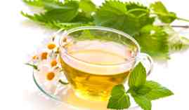Master en Homeopatia y Medicina Complementaria Master en Homeopatia y Medicina Complementaria