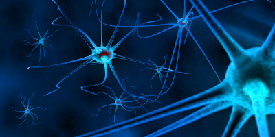 Master en Neurociencia e Inteligencias Múltiples + 60 Créditos ECTS Master en Neurociencia e Inteligencias Múltiples + 60 Créditos ECTS