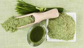 Master en Naturopatia y Terapias Naturales + Titulacion Universitaria de Especializacion en Naturopatia + 8 Creditos ECTS (MASTER NATUROPATA PROFESIONAL) Master en Naturopatia y Terapias Naturales + Titulacion Universitaria de Especializacion en Naturopatia + 8 Creditos ECTS (MASTER NATUROPATA PROFESIONAL)