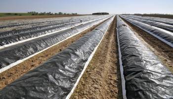 Curso Manejo del Suelo, Operaciones de Cultivo y Recoleccion en Explotaciones Ecologicas (A Distancia) Curso Manejo del Suelo, Operaciones de Cultivo y Recoleccion en Explotaciones Ecologicas (A Distancia)
