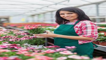 Curso Servicios Basicos de Floristeria y Atencion al Publico (A Distancia) Curso Servicios Basicos de Floristeria y Atencion al Publico (A Distancia)
