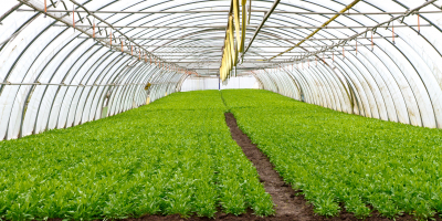 MF1130_3 Organización y Control de las Operaciones de Cultivo MF1130_3 Organización y Control de las Operaciones de Cultivo